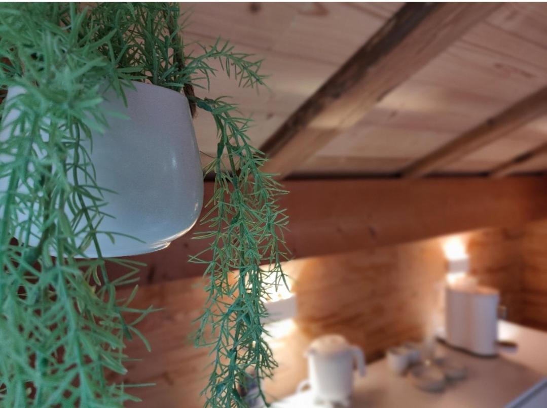 Entremont Chambre Boille A Lait מראה חיצוני תמונה